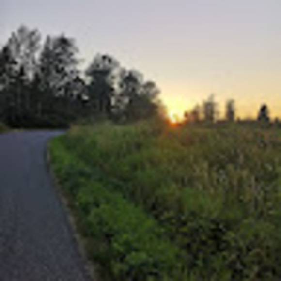 Meet your Posher, Jocelyn - Picture 1 of 1